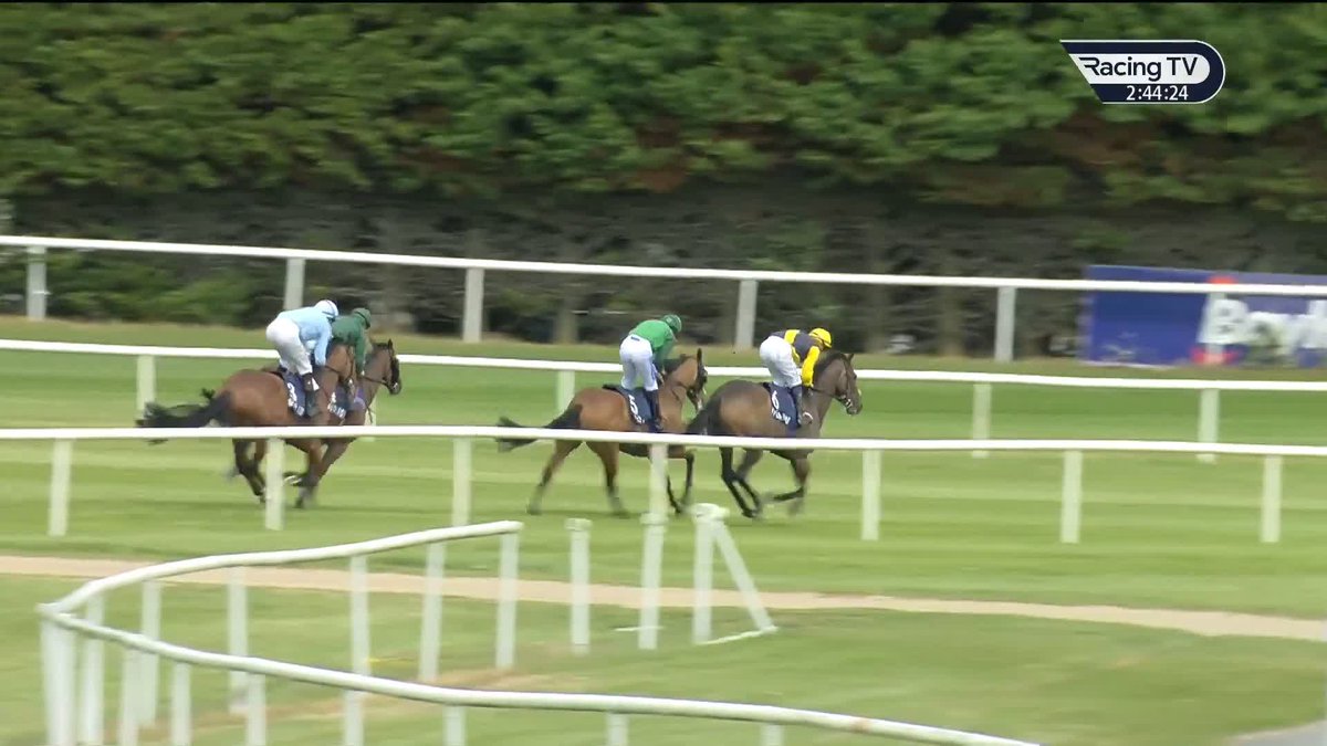 🟢🟢 Green Triangle captures the €200,000 Gowran Park Classic for Joseph O'Brien