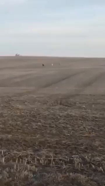 This man was told his lost dog was spotted in a local field. This is what happened when he picked him up.. 😅