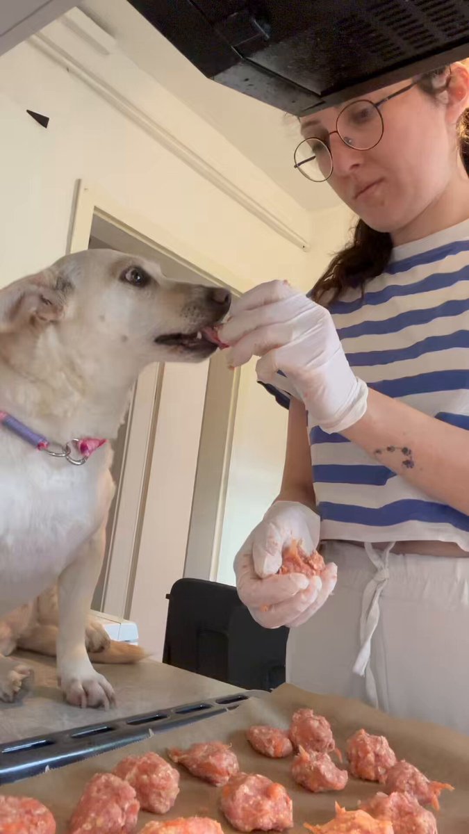 Akşama köpekten tiksinen misafir geliyormuş köfte yapıyoruzdur