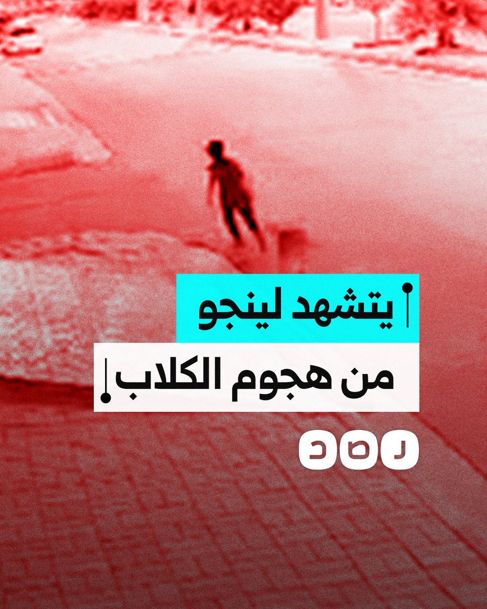 مقطع متداول لطفل عراقي ينطق بالشهادتين فور تعرضه لهجوم عدد من الكلاب الضالة