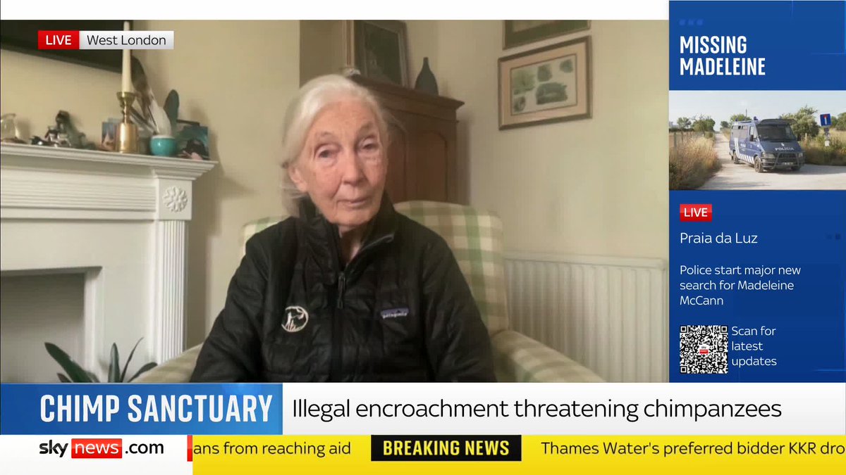 “This is a problem that has gradually grown over the years.” Dr Dr. Jane Goodall & the Jane Goodall Institute says Tacugama is vital as wildlife vanishes across Africa - but “species on the brink of extinction can be given another chance.” 📺 Sky 501, Freeview 233 and YouTube