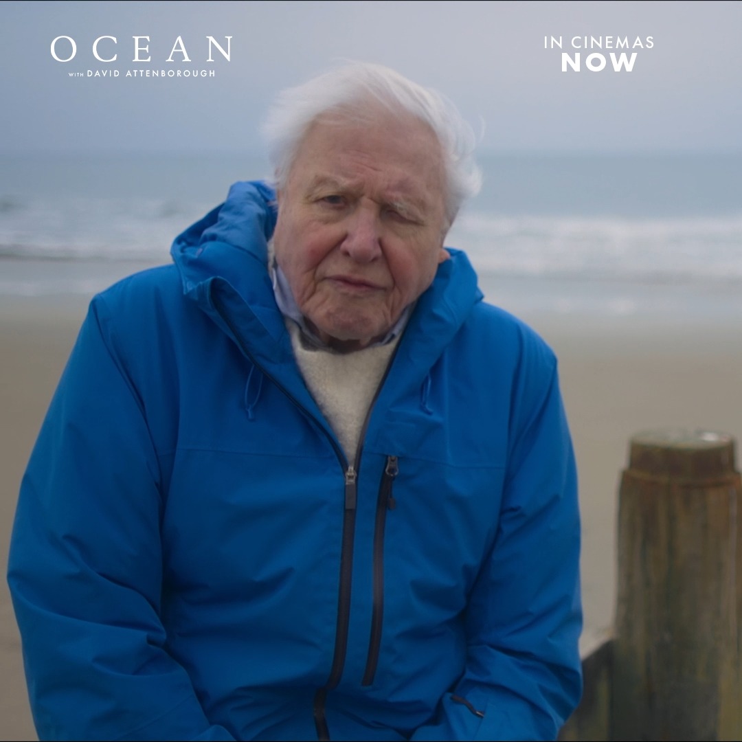 To protect life on Earth, we must safeguard the ocean. In his lifetime, Sir David Attenborough has seen the ocean go from mystery to what he calls Earth's most vital ecosystem. In #OceanFilm, he recalls his first dive – a moment of awe. #UNOC @Silverback_Films OpenPlanet