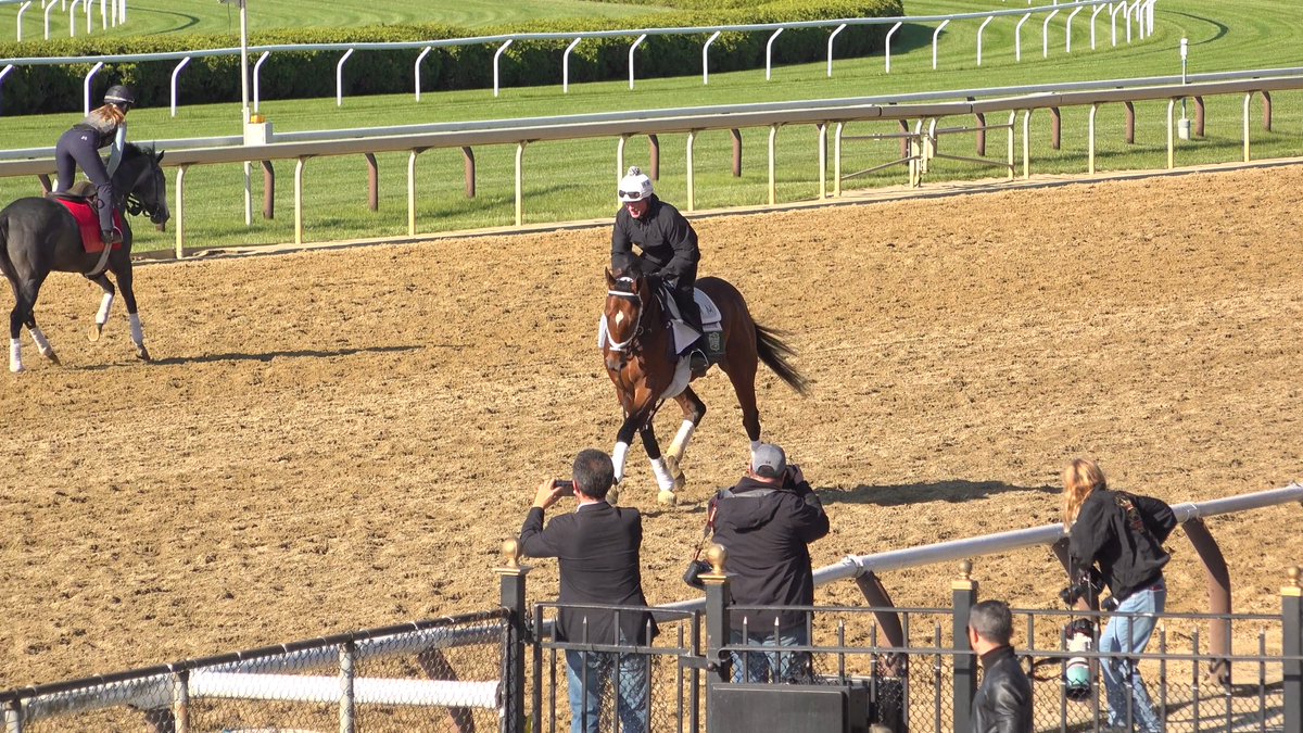 #Preakness winner JOURNALISM jogging on the main track at Saratoga on Tuesday morning ahead of the #BelmontStakes