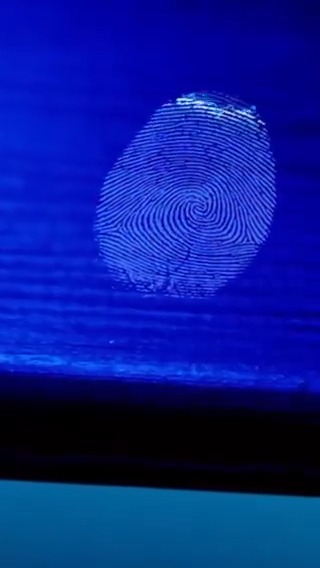 Organized crime is on the rise in Europe and around the world. But law enforcement is taking action. This week, more than 150 senior police officers are gathering in Athens to tackle emerging security threats across the region. 🎥: Ελληνική Αστυνομία