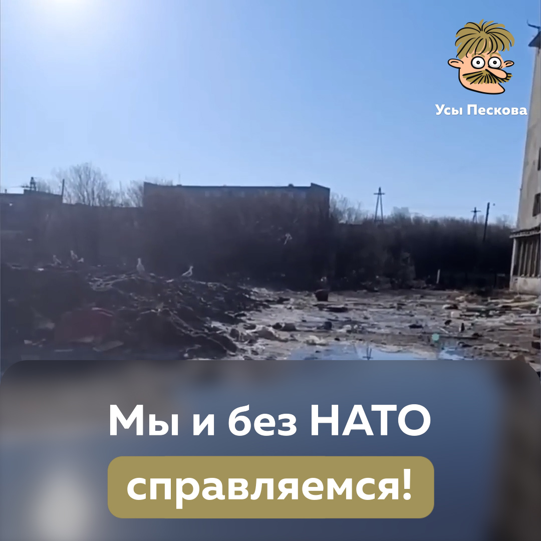 Особый шарм потрясающим видам столицы отечественного флота придают романтичные крики чаек, раздающиеся на фоне огромных луж... скрепы, традиции, не пустим НАТО и вот это вот всё. Аж слеза наворачивается