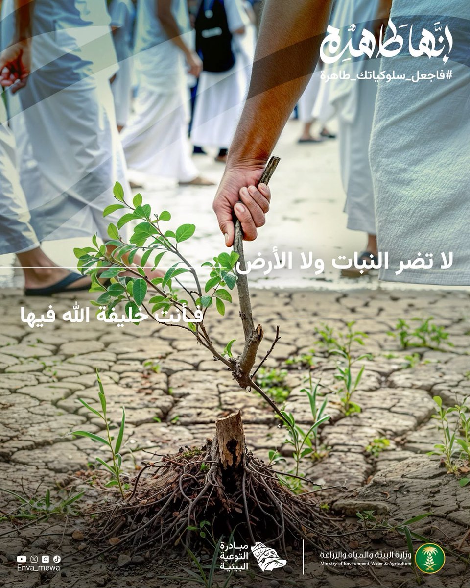 مَكّة كلها حَرَم🚨 فتجنَب قطع الأشجار والنباتات فيها امتثالاً لأمر ربّك وحفاظًا على مواردها البيئية وكائناتها الحيّة ♻️ #يسر_وطمأنينة #its_a_pure_land #إنها_طاهرة