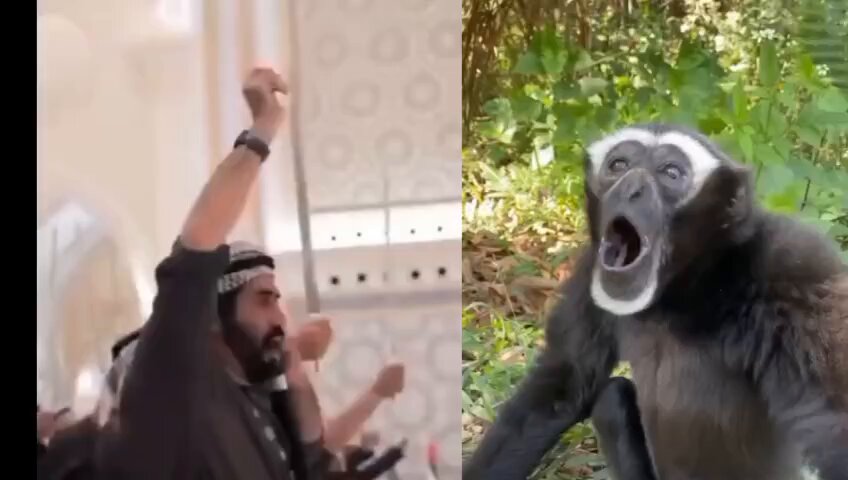 هم وإلا مش هم😂😂