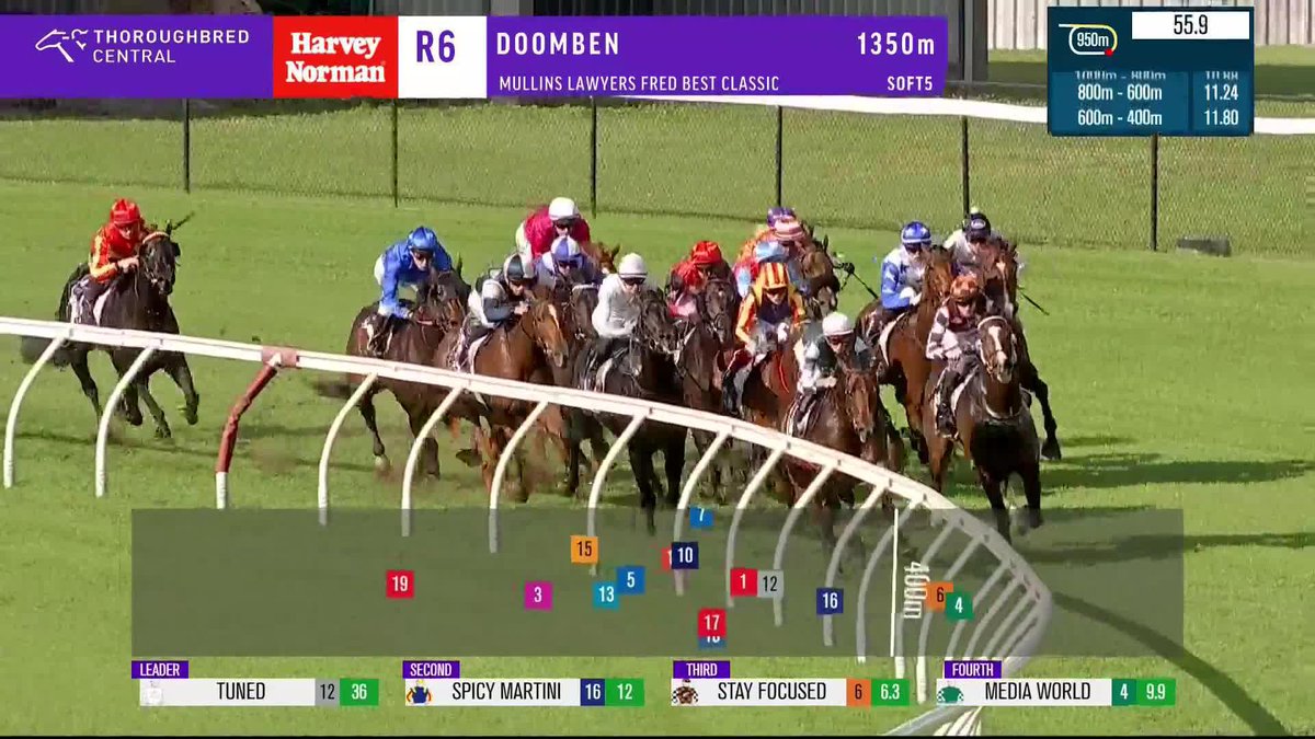Time to celebrate! That's a spicy win for Spicy Martini in the G3 Fred Best Classic at Doomben 🙌 🌶️ Craig Williams | Edmonds McLean Racing | Brisbane Racing Club