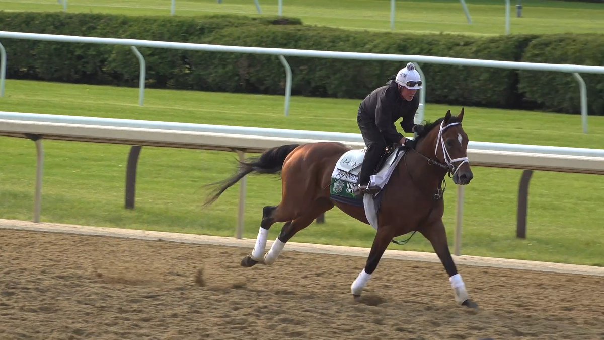 JOURNALISM galloping on the main track at Saratoga Wednesday morning ahead of the #BelmontStakes 🏆