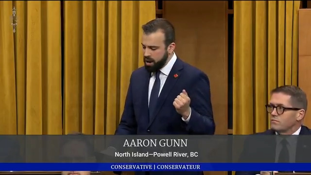 WATCH: Aaron Gunn calls for bail reform saying, "the only people who are ever punished for anything, anymore, are those who actually work for a living and follow the law." He went on to call govt to "get out of the way and give 🇨🇦 back to those who built it: The people." #cdnpoli