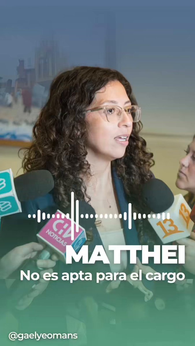 Evelyn Matthei no es una persona apta para ser presidenta de Chile. Sus exabruptos y sus insultos contra sus adversarios así lo demuestran.