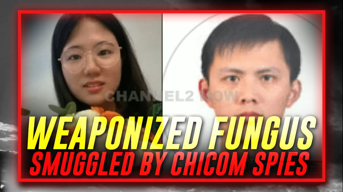 EXCLUSIVE: The Communist Chinese Spies Indicted For Smuggling Weaponized Fungus Into The United States Are Part Of A Larger Chicom/Globalist Chemical/Biological Warfare Plan Against Humanity In This Must-Watch Deep Dive, Alex Jones Reveals The Rest Of The Story & Truly Delivers Tomorrow's News Today!
