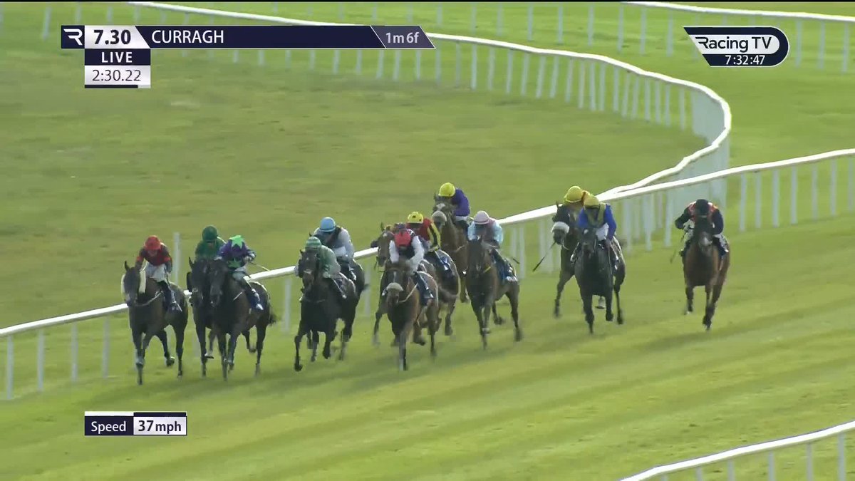 Mr Percy, a Grade 2 winner at the Fairyhouse Easter Festival last time, improves his good Flat record in the €50,000 Sky Bet Race To The Ebor Handicap for Joseph O'Brien and team