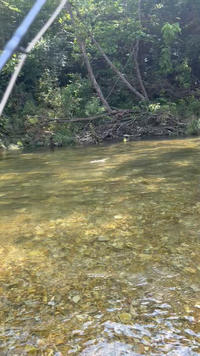 LOOK AT ALL THE GAR