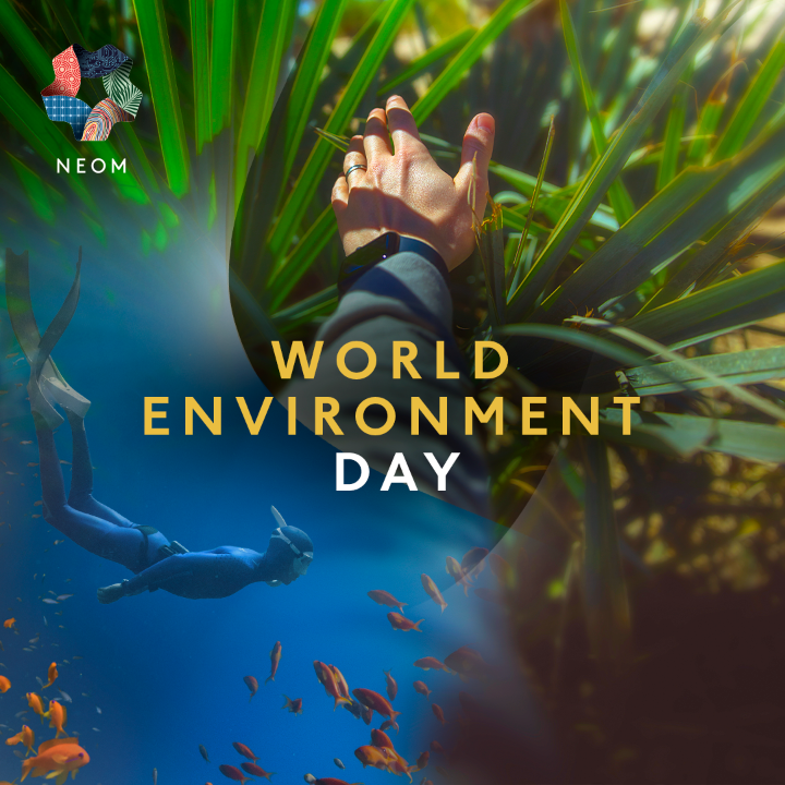 This #WorldEnvironmentDay, we celebrate the progress we’re making to restore and protect our region, with over 4.7 million native flora planted and 400 km² of marine habitat mapped. At #NEOM, we’re building a sustainable future with the environment at its heart.