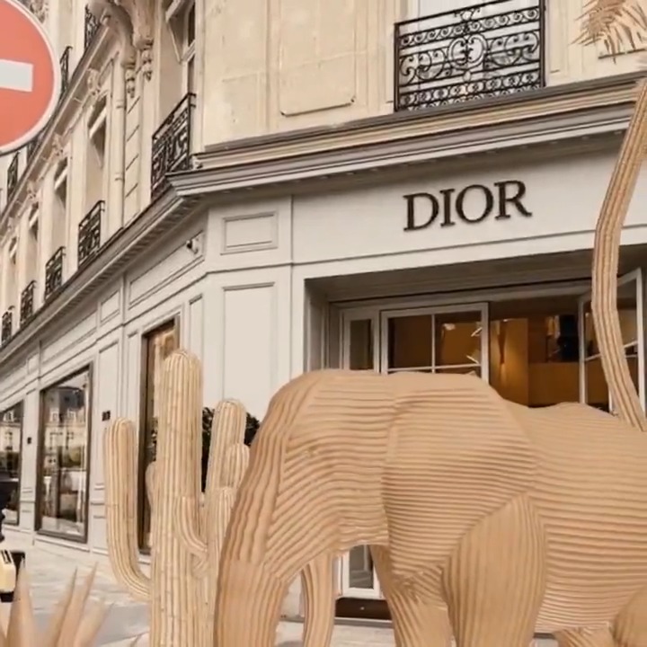 Swipe into the spirit of #Dioriviera by Maria Grazia Chiuri! The #DiorBookTote debuts in a trio of toile de Jouy Palm colors, alongside Dior Cannage sunglasses and a fine straw hat. Tap to immerse in the summer pop-up with our exclusive Snapchat filter.
