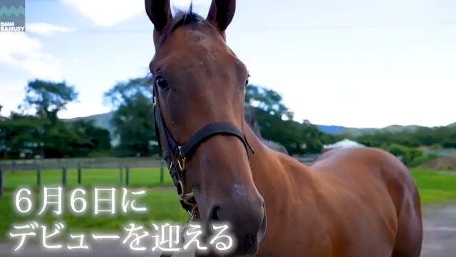 ブルーリュバン が 6月6日(金) 名古屋競馬場 第4レース 2歳新馬 (ダート900m、13:25発走)でデビューします! デビュー戦の前にスペシャル動画をぜひご覧ください! #BanusySpecialMovie