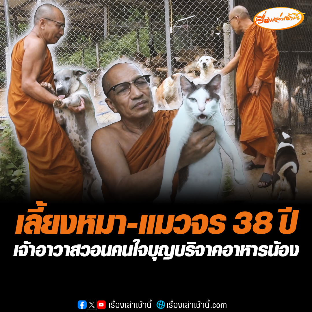 เจ้าอาวาสวัดรับเลี้ยงหมา แมวจร กว่าพันตัวตั้งแต่ปี 2529 ที่ชาวบ้านเอามาปล่อยทิ้งไว้ เผยตอนนี้ขาดแคลนอาหารน้องๆ จำนวนมาก วอนคนใจบุญช่วยบริจาค #เรื่องเล่าเช้านี้ #ข่าวช่อง3 #ข่าวภูมิภาค