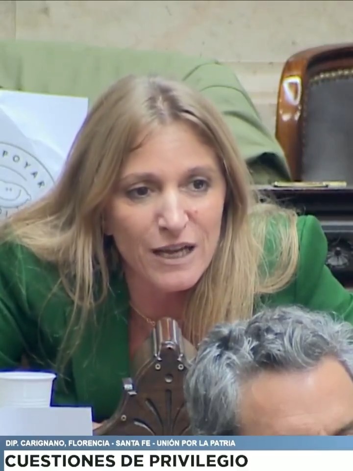 "Carignano": Por el cruce entre Florencia Carignano y Gerardo Milman durante la sesión de Diputados