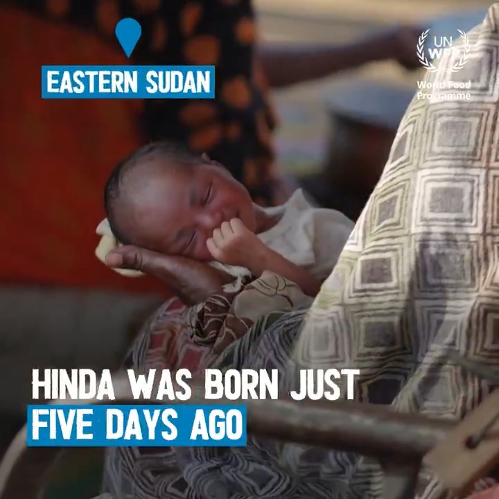 Hinda is just a few days old, born in a camp for displaced families. In areas hardest hit by #Sudan's war, more than 1 in 3 children are acutely malnourished - a marker surpassing #famine thresholds. Watch to see how WFP is supporting Sudanese children and their families.
