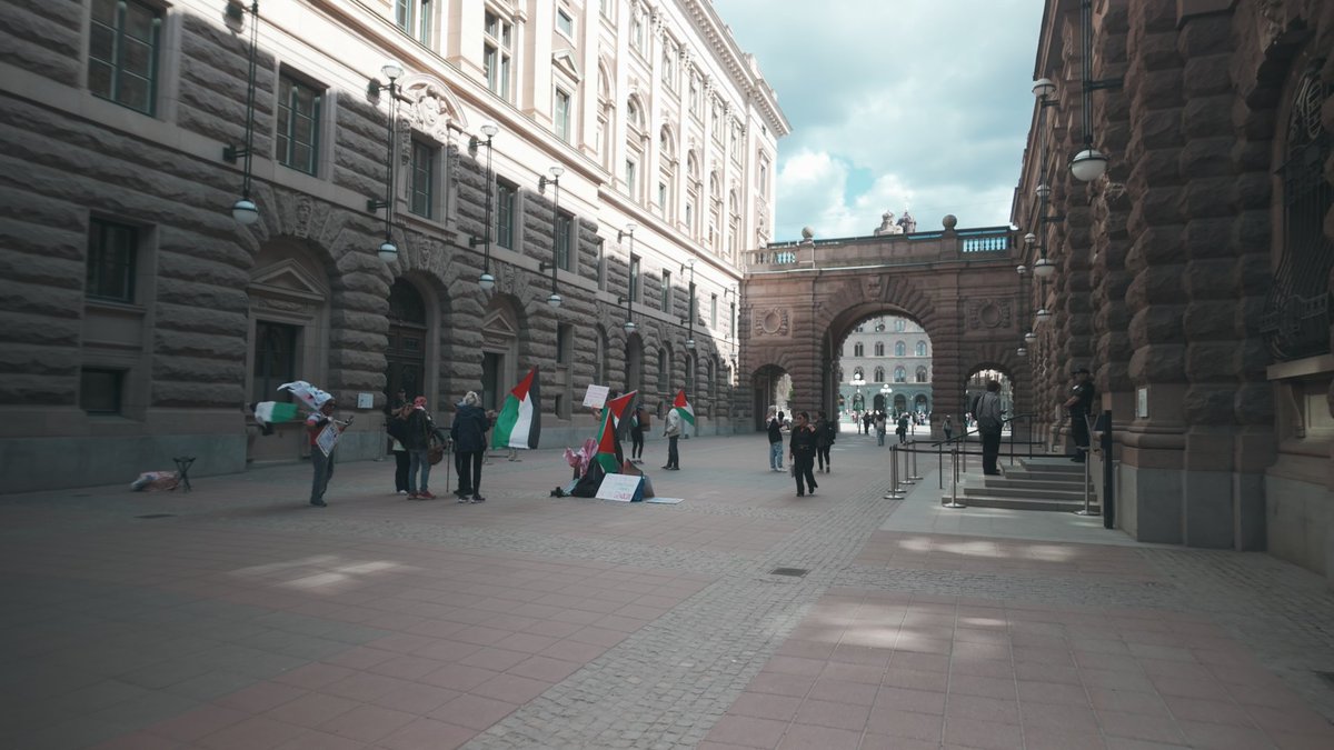 Att diverse migranter och vänsteraktivister blir upprörda över min journalistik är knappast förvånande. Det som däremot stack ut i går var att riksdagens skyddsvakt ”Josefine” ansåg att jag provocerade – enbart genom min närvaro – och dessutom uttryckte att jag får skylla mig själv om jag får en snyting av Palestinaaktivisterna. Jag kommer att upprätta en anmälan mot henne till riksdagens säkerhetsavdelning, Justitieombudsmannen och polisen för tjänstefel. ▹ Läs mer om Palestinarörelsen här: