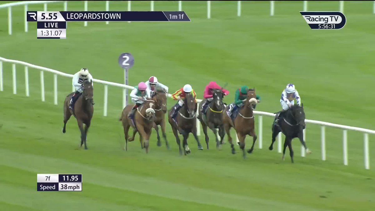 ✅ Green Impact back in business Leopardstown RC Jessica Harrington