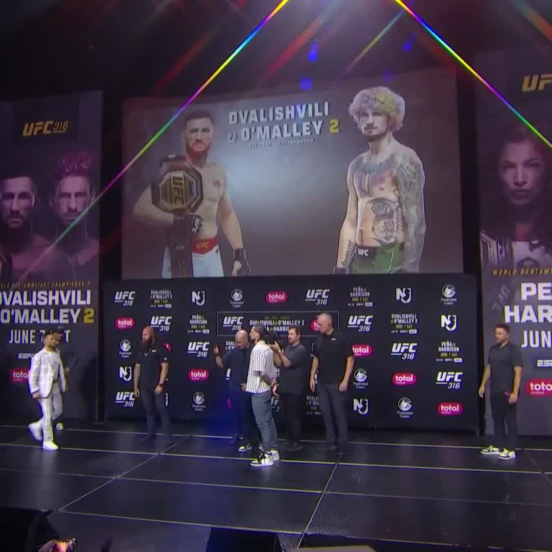 メラブ×オマリー フェイスオフ! #UFC316