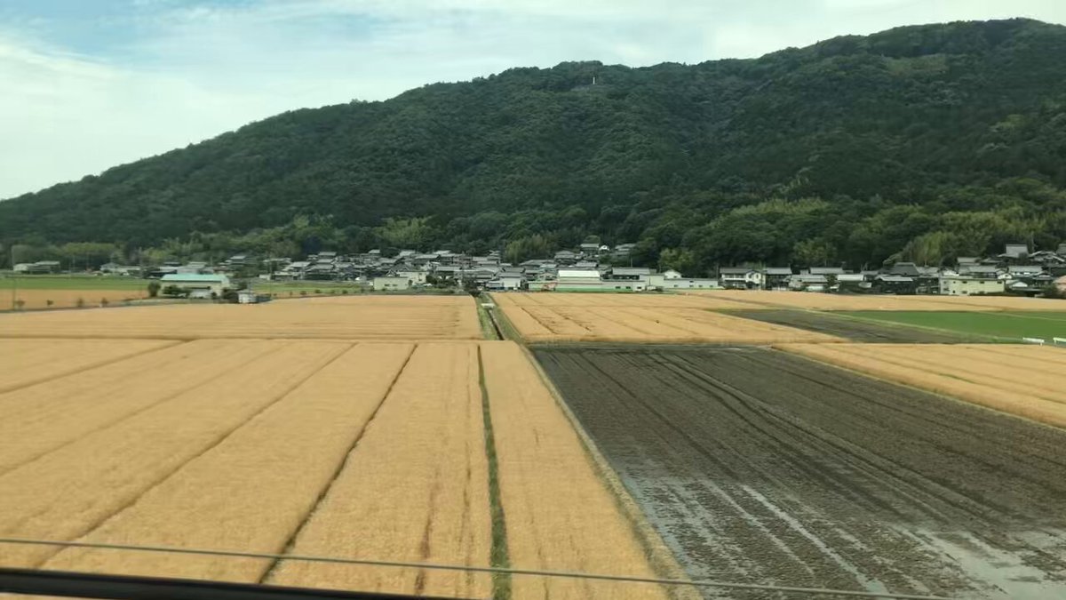 そして名古屋に向かっています🚄 今日はtoddleで +/- {Plus/Minus} とのツアー初日 名古屋TOKUZOです！ プラマイが観れる😭楽しみ！ 明日は京都、月曜日は東京！ お待ちしております！ 6/6（金）名古屋 TOKUZO 6/7（土）京都 UrBANGUILD 6/9（月）東京 FEVER 詳細＆予約→