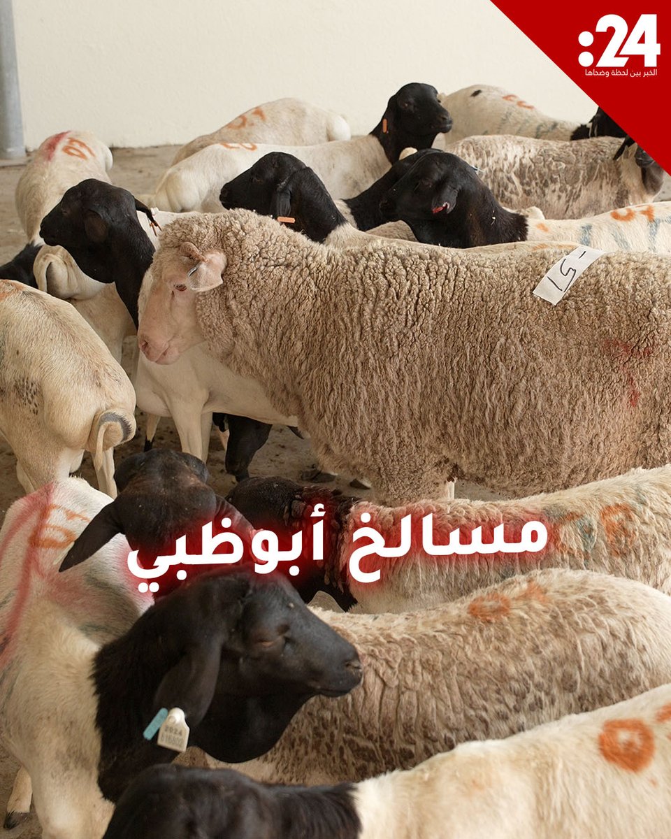 مسالخ أبوظبي في أتمّ الاستعداد لخدمة المضحّين عبر حلول ذكية وخدمات مميزة لمشاهدة المزيد من الفيديوهات: