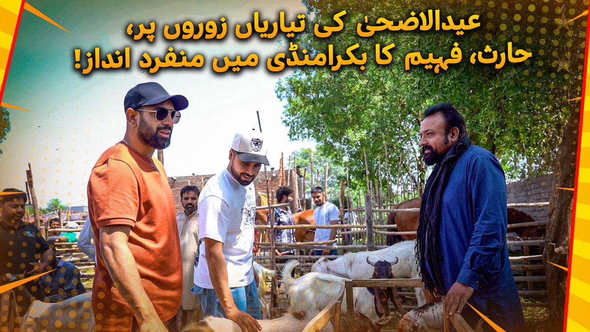 Bargains, banter and Bakras! 🐐 Check out Haris Rauf and Faheem Ashraf رانا فہیم اشرف's fun-filled trip to the Bakra Mandi 🤩 🎥 𝑾𝑨𝑻𝑪𝑯 𝑭𝒖𝒍𝒍 𝑽𝒊𝒅𝒆𝒐 ➡️ #EidAlAdha2025