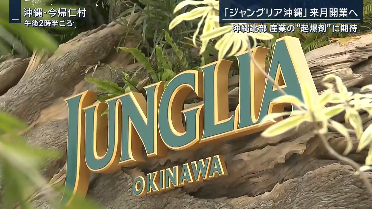 【7月開業『ジャングリア』 沖縄北部産業の起爆剤に？】 ｜ 沖縄で7月に開業する「ジャングリア沖縄」(ジャングリア沖縄【公式】) 大自然を舞台にした大型テーマパークで、22のアトラクションなどを楽しめる 国内在住者と訪日客で入場料金が異なる“二重価格”を採用。国や県の支援を受けることなく運営され、地元企業なども参加 ▼沖縄北部を盛り上げる“起爆剤”になるか？ 沖縄に集まる観光客は那覇などの南部に集中 1人あたりの所得も北部の方が約88万円下回る 刀 森岡毅CEO（2023年11月） 「沖縄の南北問題を結果的に解決の方向に動かす変化の起点になれるかなと」 ▼開業する今帰仁村では“期待感” 今帰仁村観光協会 横澤一美 事務局長 「行き先がジャングリアになると思う。今帰仁村に泊まってもらいたい」 「この村に何かしら経済が回るとみんな望んでいると思う」 今帰仁村の隣、名護市のホテルでは… リエッタ中山 安里博樹社長 「給与はジャングリアの影響で時給が上がってきている。若い方々も北部にはまだまだたくさんいる。大きなテーマパークができると新しい雇用、若い方もきてもらえる」 「ホテルを含め、グループで従業員を2割増やしたい」 ジャングリア沖縄は隣接する自治体にある4つのホテルを“パートナーホテル”として提携 →“素通り観光”の北部に“プラス1泊”の需要を ▼懸念は“渋滞” 運営会社は駐車場の整備や路線バスの運行など市や住民に対策を説明