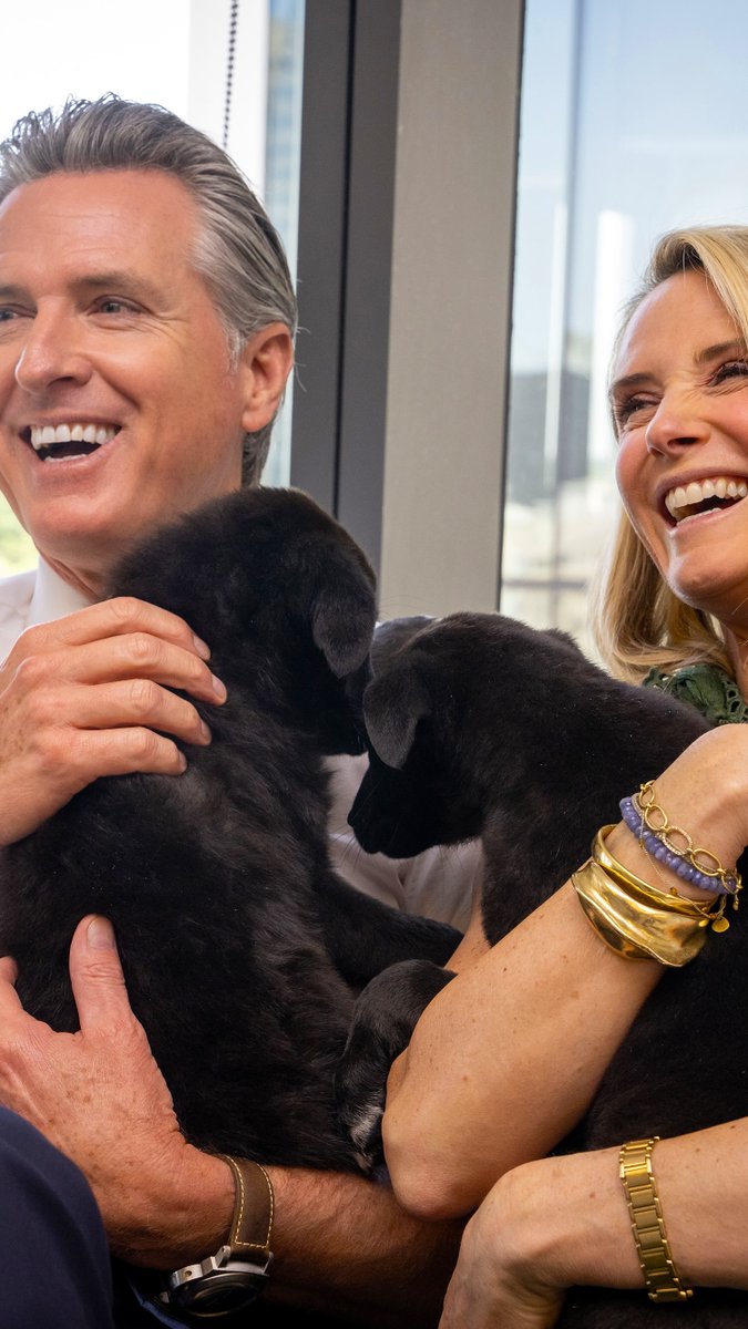Tomorrow is California’s second annual Adopt-A-Pet-Day! 🐾 If you've been thinking about adopting a pet, consider this your sign. Find a participating shelter near you ➡️