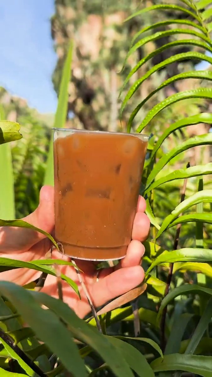 What’s emerging out of Satu’li Canteen?! 👀☕️ Don’t miss the all-new cold brews AND a coffee flight landing at Disney's Animal Kingdom Theme Park at Walt Disney World!