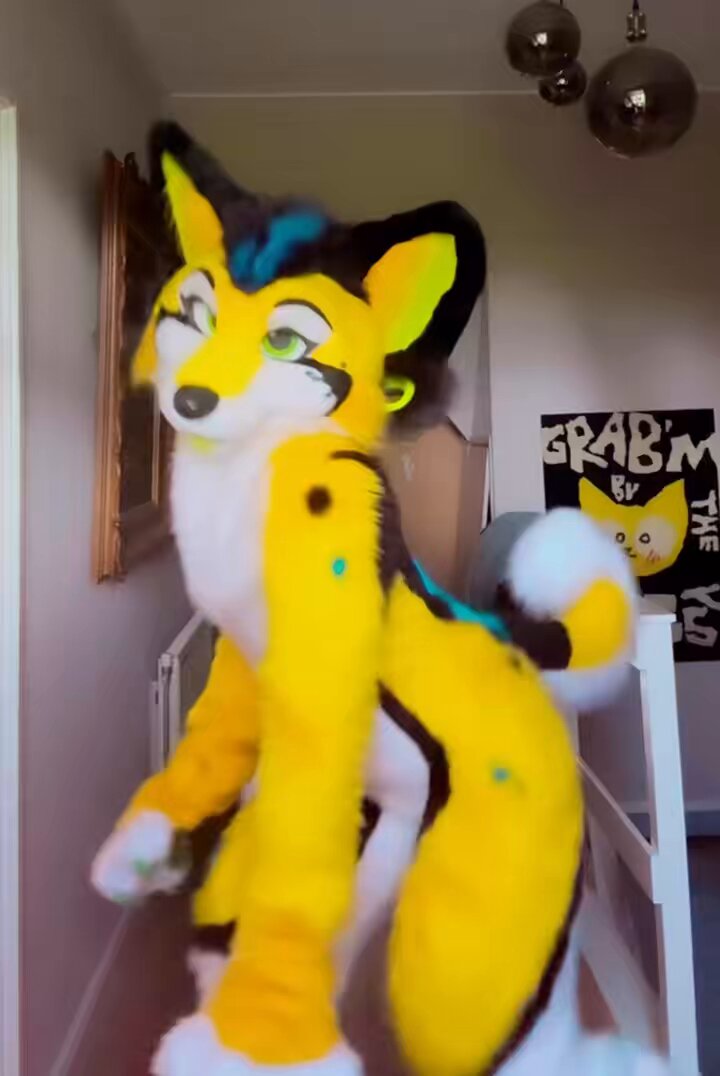 Why is the cattle dog acting fruity? 🍋🐾