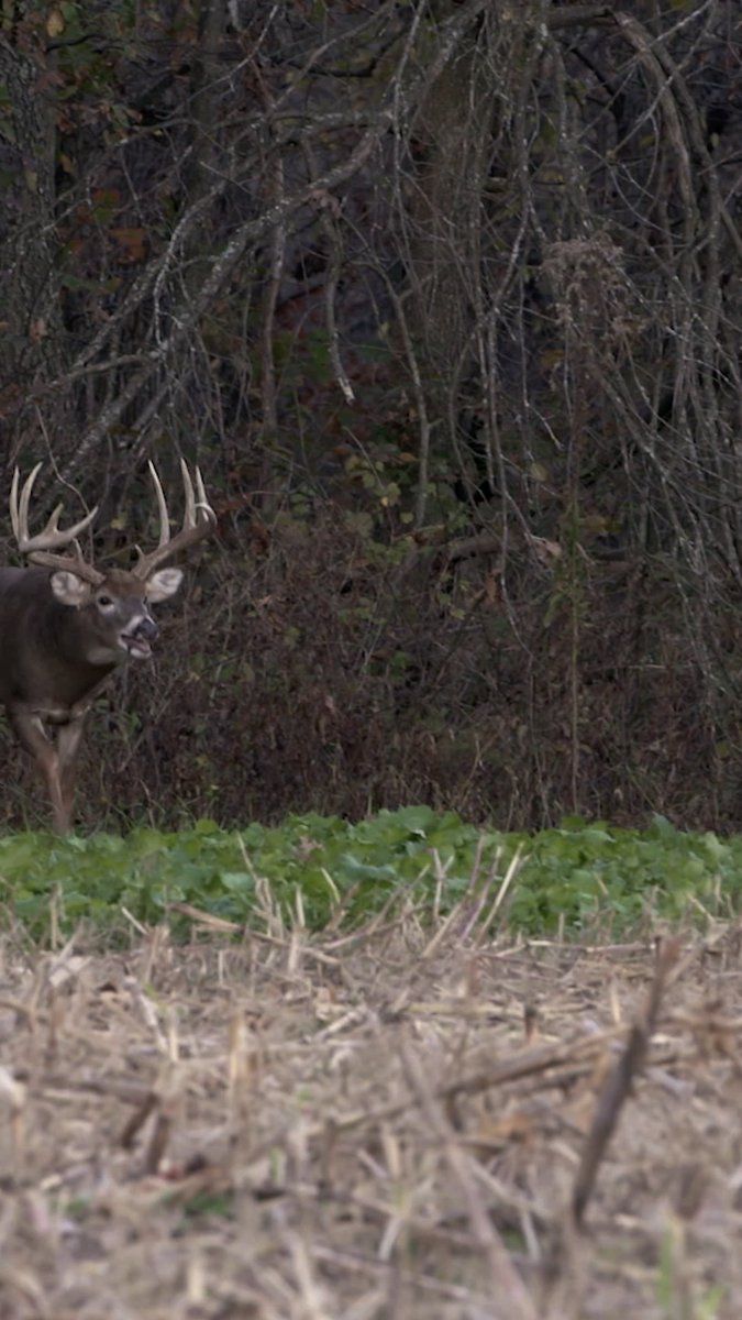It's already on our mind.. #Realtree