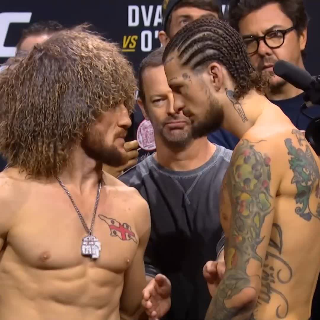 Pelea Estelar 🚨 #UFC316 Merab “The Machine” Dvalishvili 🆚 Sean O'Malley