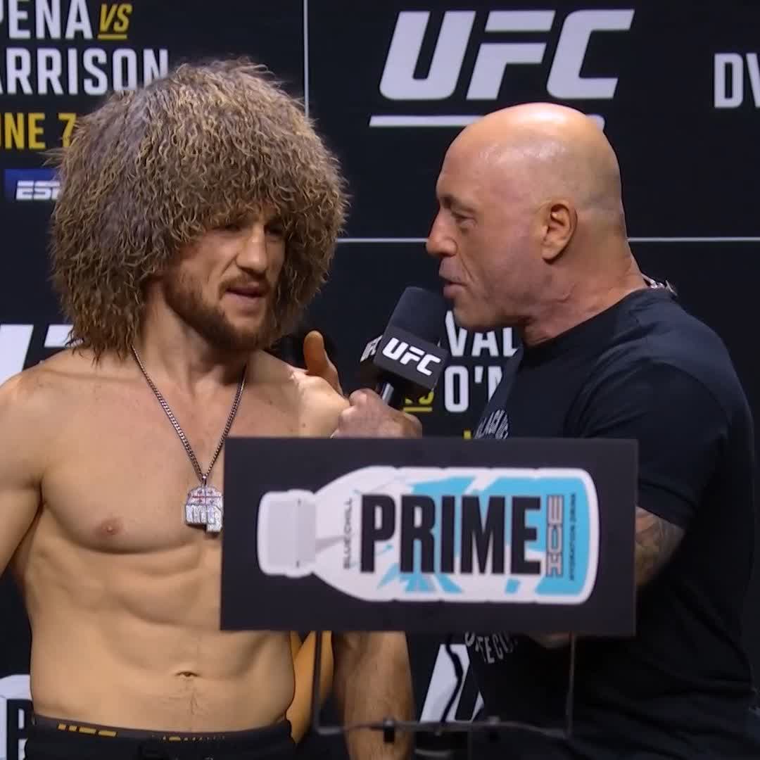 🗣️メラブ 「明日はキスなんかしない。あいつをブッ飛ばすんだ！And Still！」 #UFC316