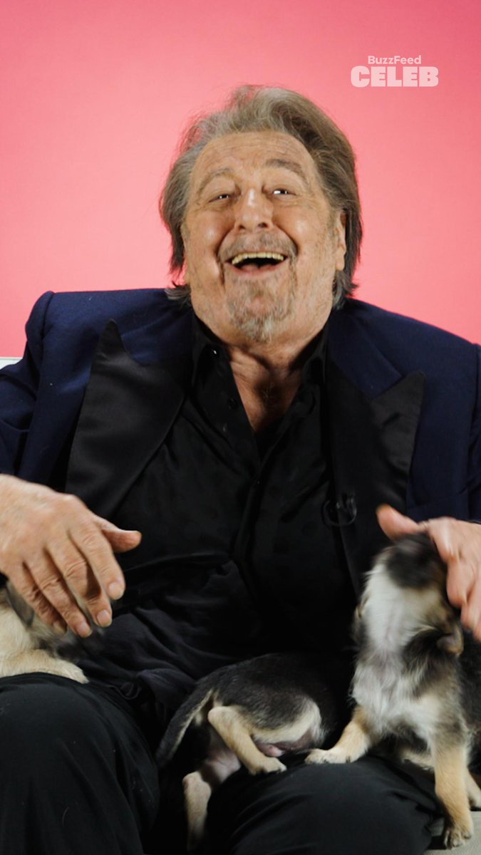 The Al Pacino Puppy Interview! BuzzFeed Celeb