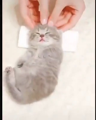 spa day 😾🥰