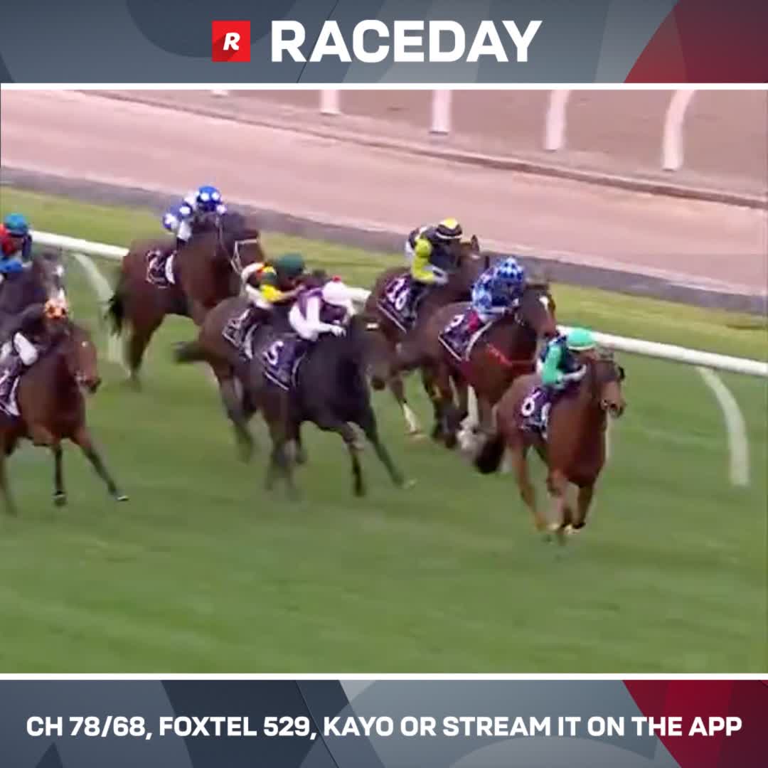 "Shockletz SURGING on the outside &amp; got up!" 🗣️ Shockletz thunders down the middle of the track to claim Prochester in the final bound! ⚡️ Harry Coffey Ciaron Maher Racing