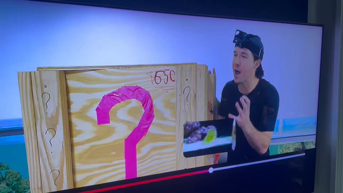 Unboxing/breaking isn’t just for cards. My 11-year-old twin boys are watching guys open mystery boxes of live fish this morning 🤔