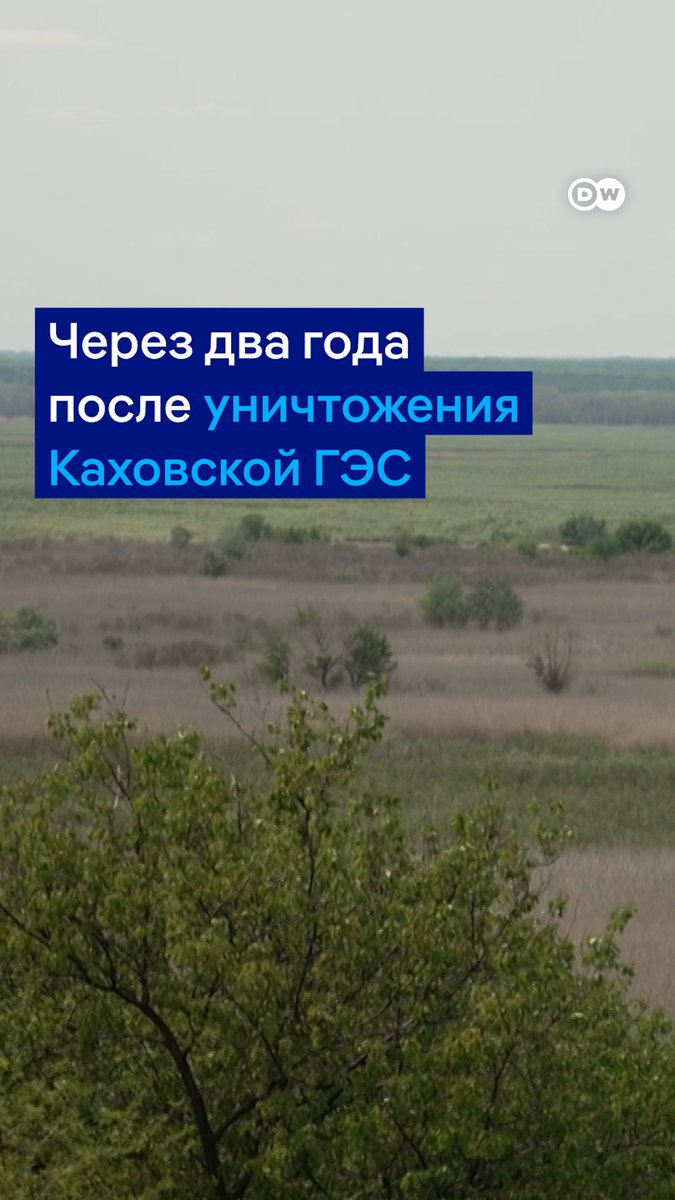 Через два года после уничтожения Каховской ГЭС на дне бывшего водохранилища растет лес и бурлит жизнь. Но в регионе не хватает воды, и энергетики хотели бы восстановить станцию. Экологи против. Что происходит на дне Каховского моря? Репортаж DW