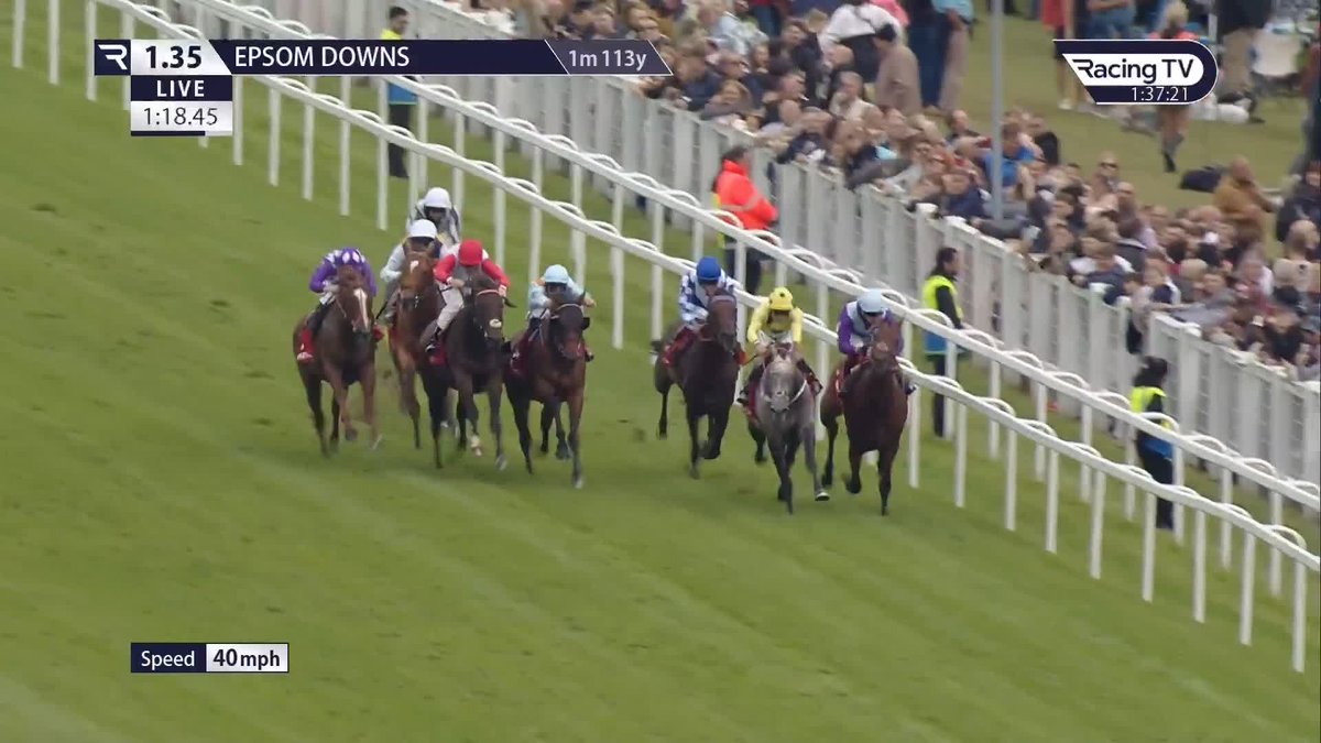 𝐏𝐞𝐫𝐬𝐢𝐜𝐚 pounces in the Betfred Diomed Stakes Epsom Downs Racecourse Richard Hannon's starlet also won on this card 12 months ago ... 💫