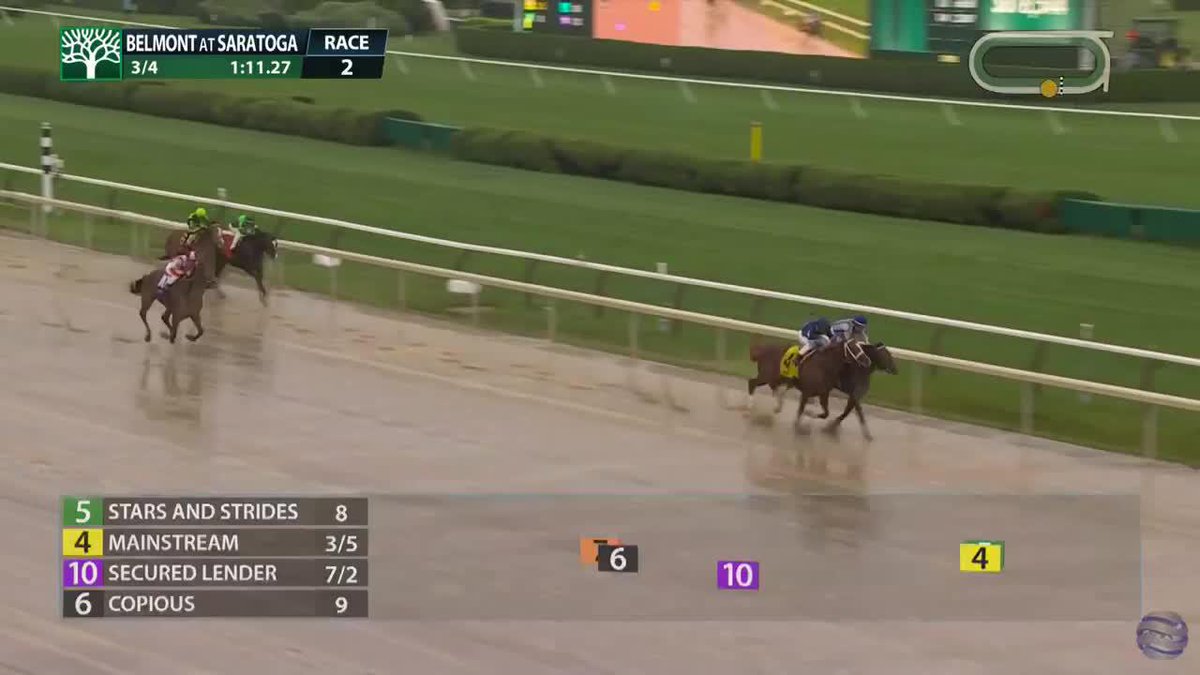 【海外競馬】 🇺🇸サラトガ競馬場2Rの映像です(ベルモントSは13R)。 泳げる馬を探す必要がありそうな馬場状態。 🎥 TwinSpires Racing 🏇