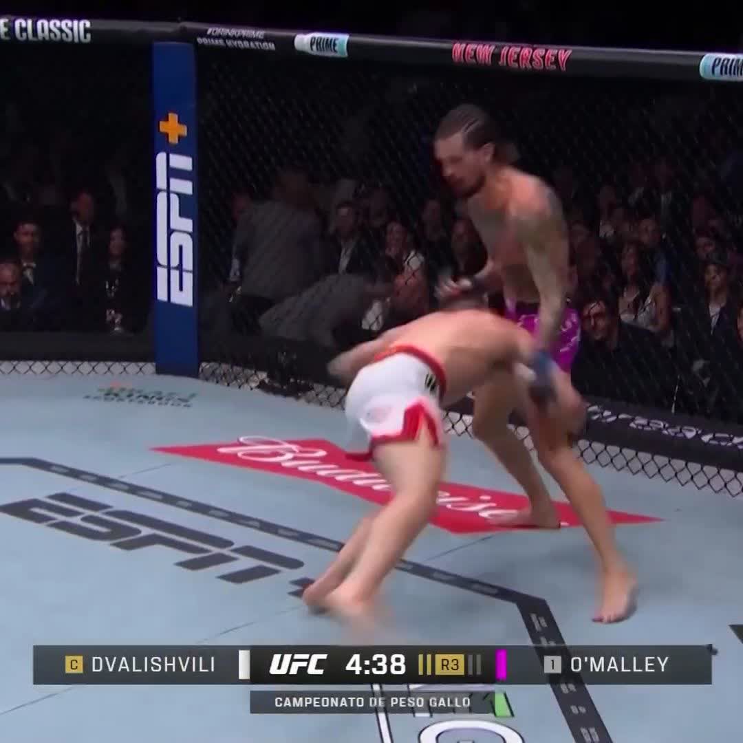 😱 Se lo quiere llevar a su casa #UFC316