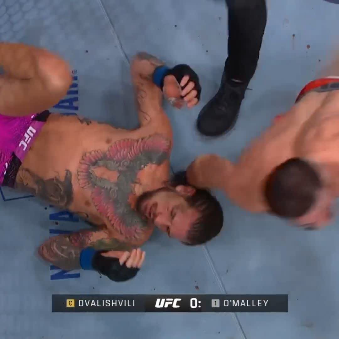 🏆 AND STILL 🏆 #UFC316 Merab “The Machine” Dvalishvili submits Sean O'Malley in the rematch!