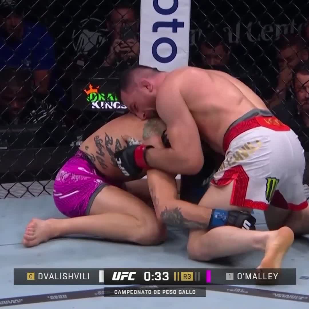 CAMPEOOON CAMPEOOON !! 🏆 #UFC316