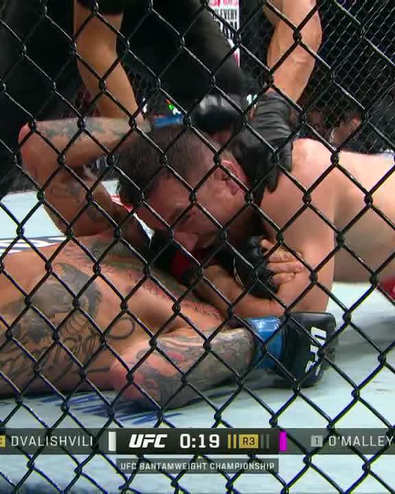 AND STILL 🏆 MERAB SUBMITS O'MALLEY 😮 #UFC316