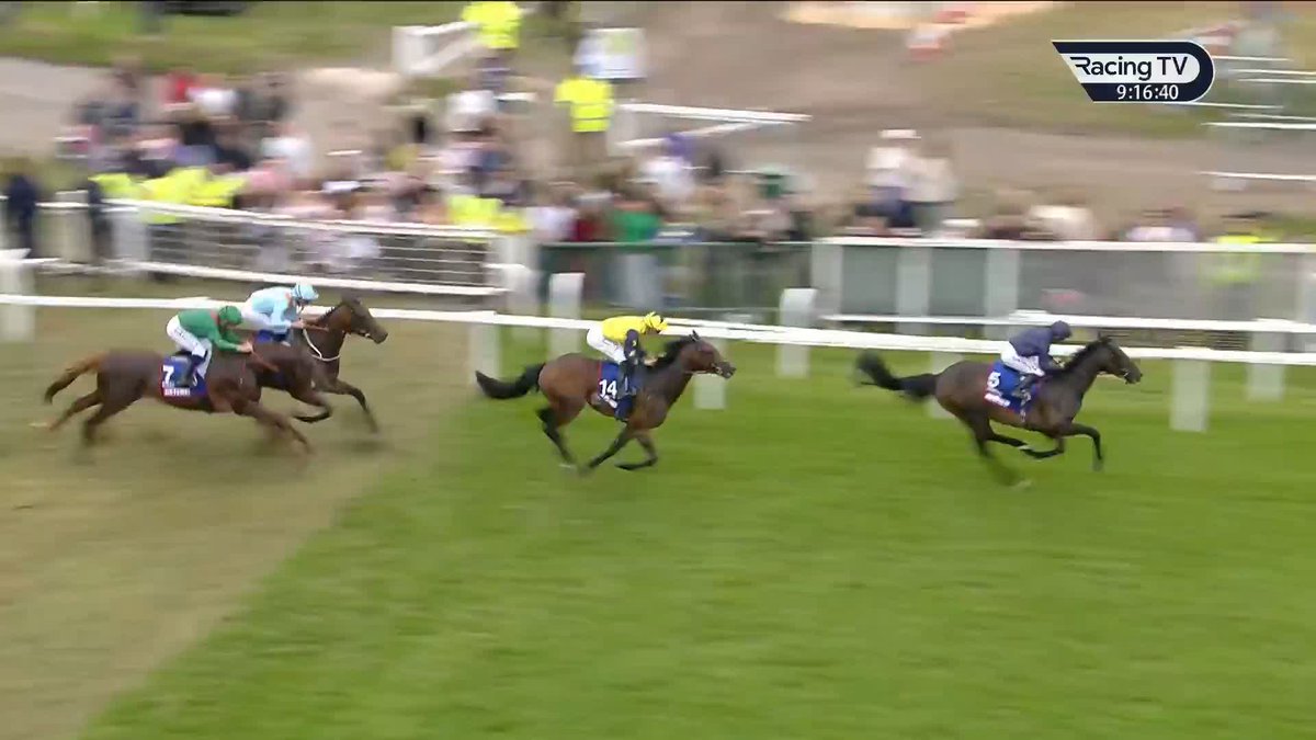 🗣️"Lazy Griff didn't turn a hair." Middleham Park Racing & Johnston Racing are thrilled with the performance of Derby runner-up Lazy Griff, who showed that it IS possible to mix it with the powerhouses of the sport. A possible trip overseas awaits? World Pool | #LuckOnSunday