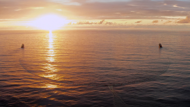 On World Oceans Day, here’s a quick look at how our partnership with The Ocean Cleanup is leading to real-world solutions in the fight against marine plastic pollution. #Kia #TheOceanCleanup #MovementThatInspires #Sustainability